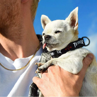 THRASHER Dog Collar Small BLACK/RED/WHITE 8"-11"