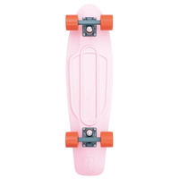 PENNY SKATEBOARDS NICKEL Complete - 27" - Cactus Wonderlust