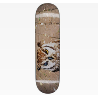 FA 8.38" Skateboard Deck OWL PHOTO JASON DILL 31.85" long F*CKING AWESOME
