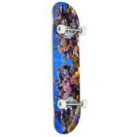 MINI-LOGO SKATEBOARD COMPLETE FISH TANK 8.25" AUS SELLER KINGPIN