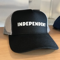 Details about   Independent Trucks DUAL PIPELINE Strapback Skateboard Hat BLACK/WHITE 