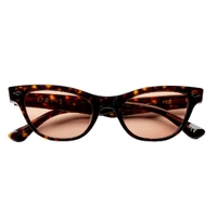 Epokhe - Veil Tortoise / Bronze Mens Womens Sunglasses Shades