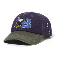 Butter Goods Music Snapback Purple / Fern 6 Pane Cap 6 Panel Cap Buttergoods Hat