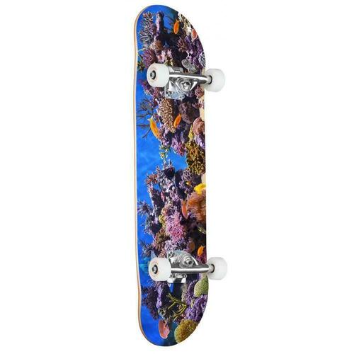 MINI-LOGO SKATEBOARD COMPLETE FISH TANK 8.25" AUS SELLER KINGPIN
