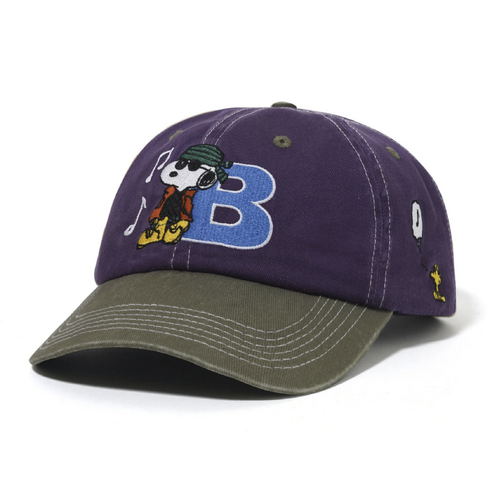 Butter Goods Music Snapback Purple / Fern 6 Pane Cap 6 Panel Cap Buttergoods Hat